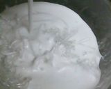 プチ!プチ!海藻麺★ココナッツミルク作り方3写真