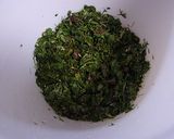 春の野草の酵素ジュース作り方15写真