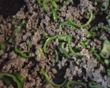 家庭科の先生の味☆肉豆腐と野菜炒め作り方3写真