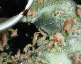 厚揚げと豚ひれ肉のピッカティーナ♪作り方6写真