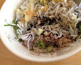 大葉もネギもゴマも混ぜ混ぜシラス丼作り方9写真