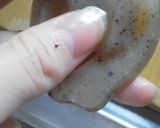 厚揚げとこんにゃくの甘辛ピリ辛煮作り方3写真