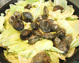 あさりとキャベツの中華酒蒸し作り方4写真