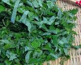 蕗の葉の佃煮作り方1写真