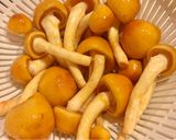 大なめことツルムラサキの味噌汁作り方2写真