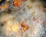 鶏の唐揚げ中華風✩*⋆作り方3写真