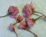 春の桜のヨーグルトジェラート✿作り方2写真