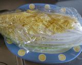 餃子の具ﾘﾒｲｸ 春巻き作り方1写真