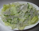 *レタスとしらすのサラダ*作り方2写真
