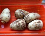 里芋フライ コンソメ味作り方2写真