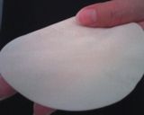 ご飯がすすむ餃子です♪　～羽なし～作り方3写真