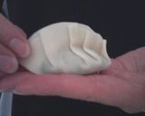ご飯がすすむ餃子です♪　～羽なし～作り方8写真