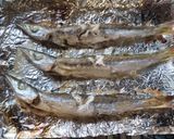 カマスの塩焼き（初心者向け魚の焼き方）作り方11写真
