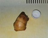 具だくさんホタテ稚貝の炊き込みご飯作り方5写真