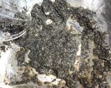 黒胡麻のパウンドケーキ作り方3写真