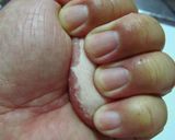 豚バラスライスでクルクル角煮作り方4写真