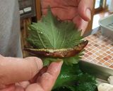 ワカサギ甘露煮de天ぷら作り方2写真