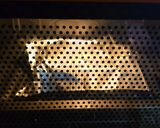 ワインに｢タラジャガ｣　鱈とポテトの重ね蒸し焼き作り方10写真