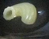 フランスおふくろの味コキエットジャンボン作り方1写真