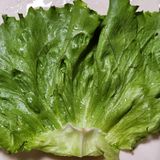ムダにしない！レタスのあまから肉巻き作り方1写真