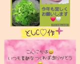 ♧☆ピーマンのおひたし☆♧作り方18写真