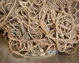 蕎麦サラダ〜鬼おろし〜作り方4写真