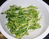 豆苗（とうみょう）のキムチ作り方3写真