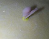 余ったチョコペンでバラ飾り!作り方4写真