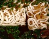 ホルモンうどん作り方6写真