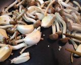 簡単フランス田舎料理＊牛肉の赤ワイン煮込作り方5写真