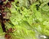生ハムたっぷりサラダ2012.5.20作り方4写真