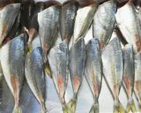 あじの唐揚げ☆ネギおろしポン酢風味☆作り方2写真