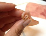 キャラ弁デコ弁ハムでバラのデコレーション作り方4写真