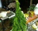 人参葉～！冷凍保存作り方2写真