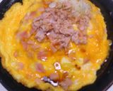 シーチキンの混ぜご飯・ハム卵焼きのせ作り方10写真