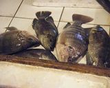 台湾料理～紅焼呉郭魚（台湾鯛の煮付け）作り方2写真