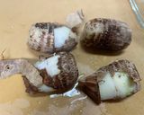 お弁当⭐︎レンチン7分⭐︎里芋としらすの煮物作り方5写真