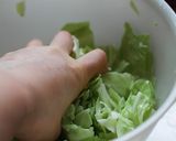 たっぷり食べれるキャベツの浅漬けサラダ作り方1写真