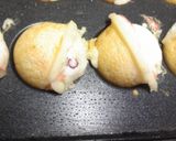 二杯酢で食べる あっさり大阪たこ焼き作り方6写真