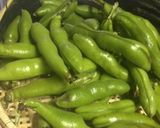 とれたて!そら豆の1番簡単で美味な料理作り方1写真