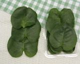 わかめ菜とゆで卵のサラダ作り方6写真