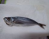 干し鯵タマリンドビリヤニ作り方9写真