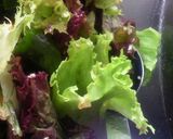 野菜たっぷり☆さっぱり♪中華サラダ作り方3写真