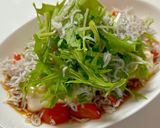 超簡単！しらすと水菜のだしポン酢豆腐作り方6写真