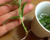 簡単♡さっぱり!チキンのバルサミコソース作り方10写真
