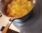 簡単(＾ｰ^)果肉ゴロゴロ夏みかんゼリー作り方8写真