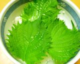 めんつゆで簡単！まぐろの漬け丼作り方3写真