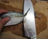 アジの刺身と香味野菜の中華風和え作り方7写真