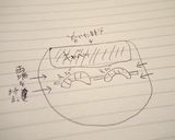 ★冷蔵庫にあるもので簡単生春巻き★作り方3写真