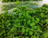 実山椒の下ごしらえ(醤油漬け)作り方1写真